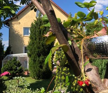 Weissensee Casa | Pension Haus Bielke