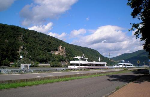 Mainz-Bingen Cama Y Desayuno | Pension Johanna