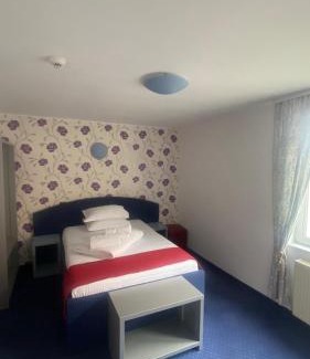Lazaret Casa | Pension La Viorel Isaila