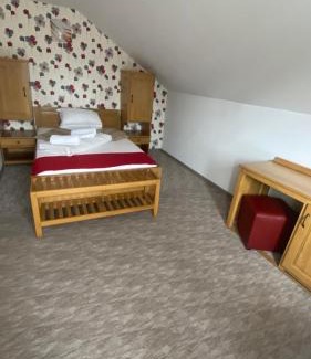 Lazaret Casa | Pension La Viorel Isaila