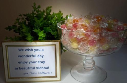 Roßau Cama Y Desayuno | Pension Liechtenstein