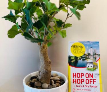 Roßau Cama Y Desayuno | Pension Liechtenstein