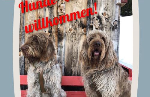 Lech am Arlberg Cama Y Desayuno | Pension Muggengrat
