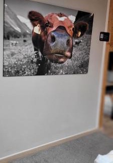Munchen District Casa | Pension Schlafstuhl
