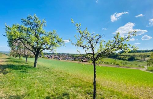 Waldfenster Casa | Pension Schmitt