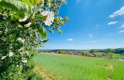 Waldfenster Casa | Pension Schmitt