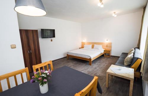 Harrachov Apartamento | Pension Simona