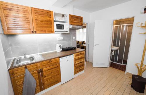 Harrachov Apartamento | Pension Simona