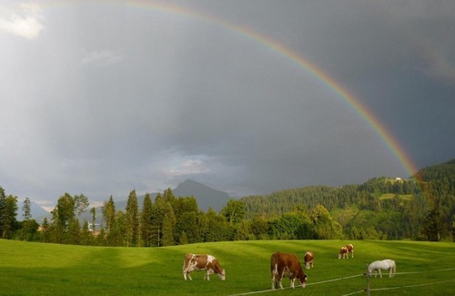 Going am Wilden Kaiser Casa | Pension Sunnbichl