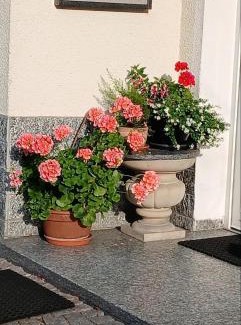 Grafenau Casa | Pension Tauscher
