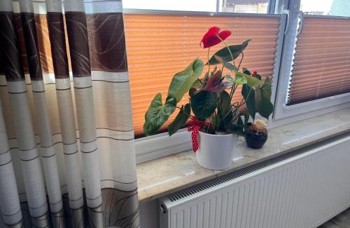 Elsterwerda Apartamento | Pension zum Winterberg