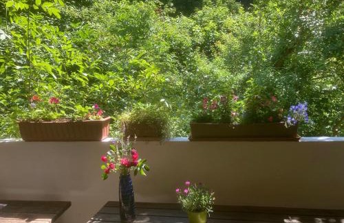 Passau Casa | Pension Zur Freiheit