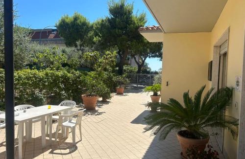Grottammare Hotel | Pensione Vagnozzi