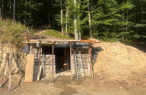 Obarsia-Closani Casa | Pensiune Montana Casa Din Padure