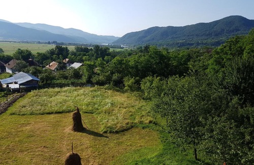 Calimanesti Apartamento | Pensiunea Adeluta Apartament