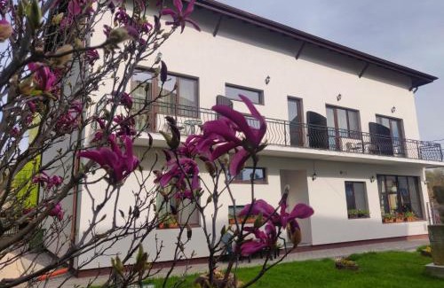 Pucioasa Casa | Pensiunea Alesia