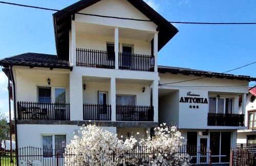 Vatra Dornei Casa | Pensiunea Antonia