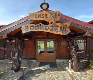 Livezile Casa | Pensiunea Bodrogeni