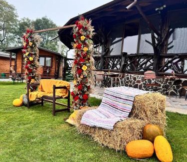 Livezile Casa | Pensiunea Bodrogeni