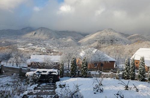 Certeju de Sus Casa | Pensiunea Carma