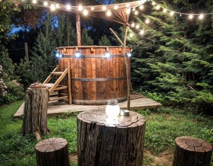Paltin Casa | Pensiunea Cocoș