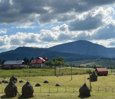 Dorna Candrenilor Casa | Pensiunea Crinul Bucovinei