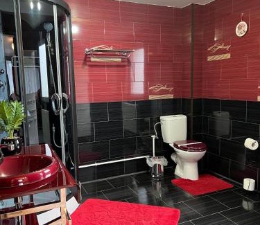 Dorna Candrenilor Casa | Pensiunea Crinul Bucovinei