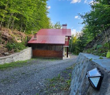 Lunca Jaristei Casa | Pensiunea Dana-Maria