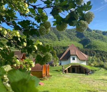 Vidra Casa | Pensiunea Dealul cu Melci