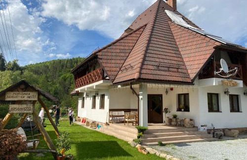Vidra Casa | Pensiunea Dealul cu Melci