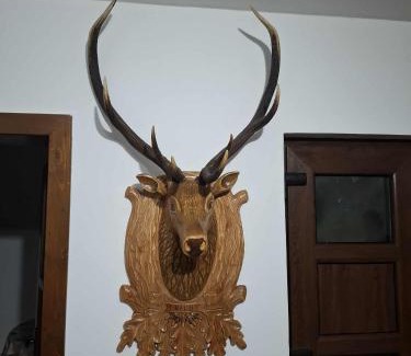 Albac Casa | Pensiunea Eugenia