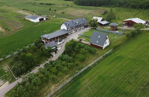 Cergau Mare Casa | Pensiunea Fata Viilor