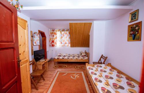 Vatra Dornei Casa | Pensiunea Flori de Camp