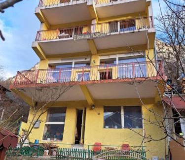 Baile Herculane Hotel | Pensiunea Floriana