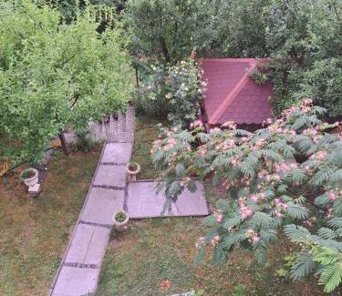 Baile Herculane Hotel | Pensiunea Floriana