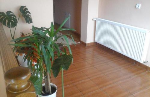 Sieu Casa | Pensiunea Georgiana