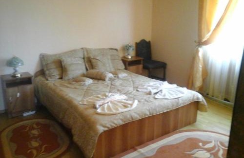Sieu Casa | Pensiunea Georgiana
