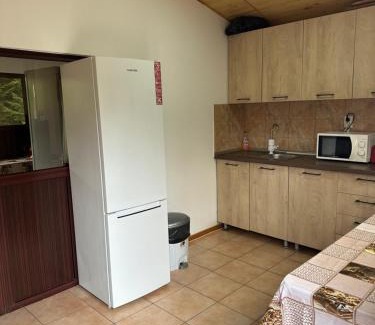 Magiresti Otro | Pensiunea Ionela