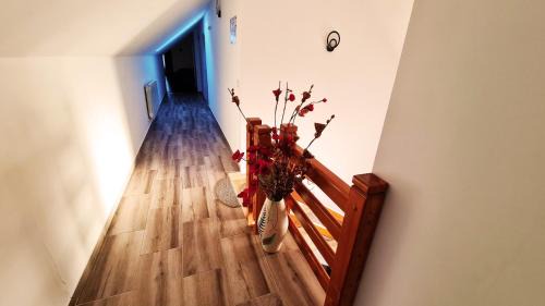 Sucevita Casa | Pensiunea Mariana