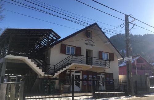 Borsa Casa | Pensiunea Morosanu