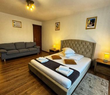 Baia Mare Cama Y Desayuno | Pensiunea Pictorilor