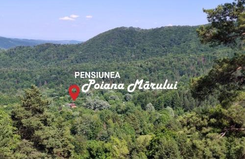 Bisoca Casa | Pensiunea Poiana Marului - Bisoca