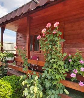 Mahmudia Casa | Pensiunea Raluca
