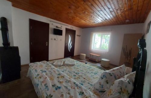 Mahmudia Casa | Pensiunea Raluca