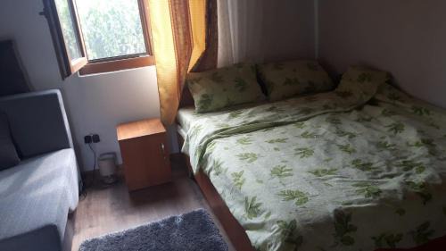 Suncuius Casa | Pensiunea Tarina