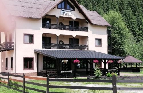 Saru Dornei Casa | Pensiunea Tora