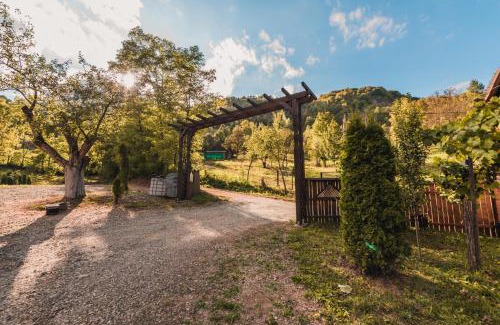 Viseu de Jos Casa | Pensiunea Valea cu Salcâmi