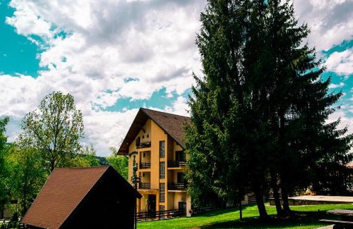 Vatra Dornei Casa | Pensiunea Vanatorul