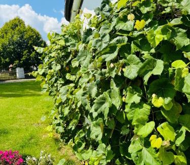 Borne Sulinowo Apartamento | Pensjonat Eden Apartament 8