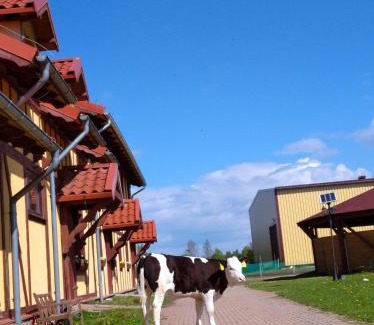 Przywidz Casa | Pensjonat Przy Stajni